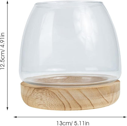 FAVOMOTO Hydroponic Flower Vase with Wooden Base Transparent Glass Micro Landscape Bottle for Desktop Decoration Premium Glass and Wood Material for Home Office Study Plant Display