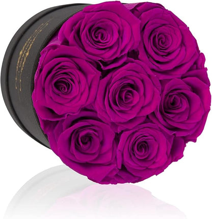 NATROSES 7 Piece Preserved Roses in a Box, Preserved Flowers for Birthday, Flower Gifts for Mothers Day (Purple)