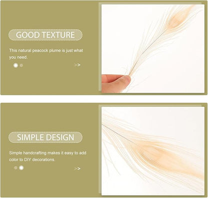 Artibetter 5Pcs Natural White Iridescent Plumes for DIY Crafts Wedding Party Decor Sterilized Plumage Accessories for Home Decoration Costume Floral Arrangements and Hair Accessories