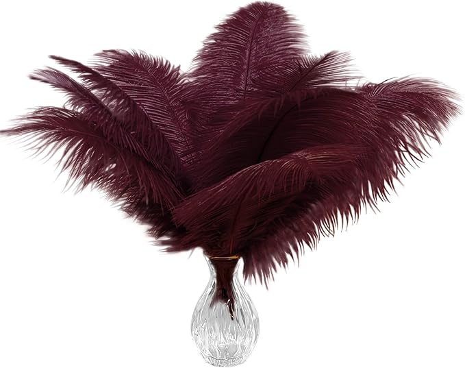 Piokio 20pcs Natural Burgundy Ostrich Feathers 10-12 inch (25-30cm) Bulk Feathers for Home Decoration and DIY Clothing and DIY Clothes Decoration, Gatsby Decorations