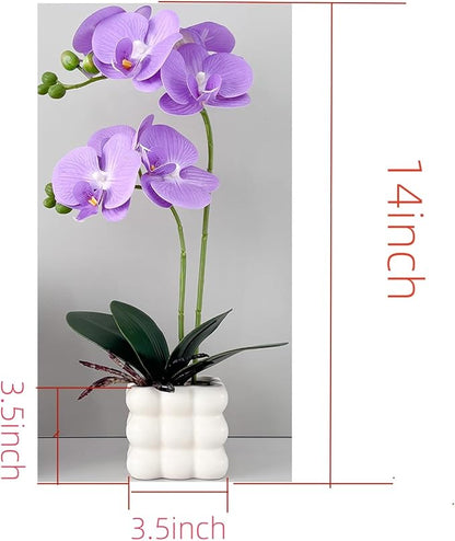Artificial Orchid Flowers, 14 Inches Tall, Purple, Set in White Vases for Home Decor Orchid Artificial Flowers