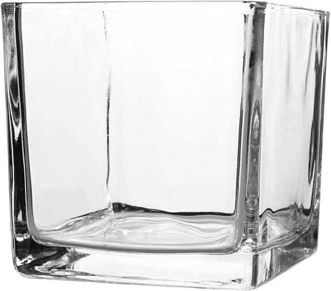 SMASOLO Clear Hydroponic Glass Cube Vase Thickened Square Flower Planter Decorative Hydroponic Flower Container for Home Office Table Centerpiece