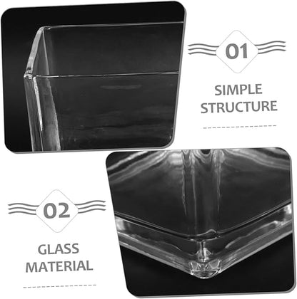 NUOBESTY Clear Thickened Square Glass Vase for Hydroponic Plants Modern Decorative Flower Container Smooth Touch Table Centerpiece for Home and Office