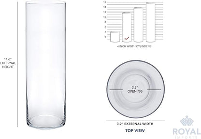 Royal Imports Flower Glass Vase Decorative Centerpiece for Home or Wedding - Cylinder Shape (4" wide x 12" tall, Clear)