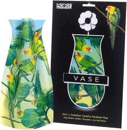 MODGY Expandable Flower Vase Plastic Decorative Modern Vases for Flowers Centerpieces Dining Table Decor Living Room Bathroom Wedding Office, Audubon Parakeets