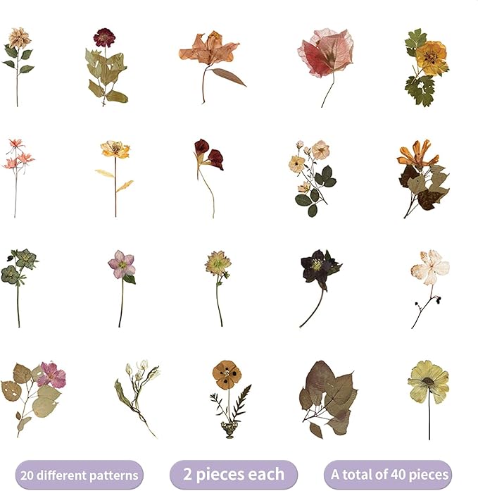 Natural PET Flower Stickers for Scrapbooking - Vintage Nature Plant Craft Sticker, Colorful Small Clear Floral Decal for Journaling (Style D)