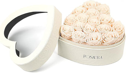Rosaura Heart-Shaped Preserved Roses Gift Box - Real Forever Flowers for Birthday, Valentine's & Mother's Day (Champagne, 16 roses)