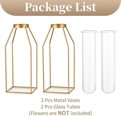 Sziqiqi Glass Tube Vase with Metal Stand - Modern Flower Vase Propagation Station for Plants Minimalistic Wire Square Vase for Room Decor Office Wedding Table Decoration
