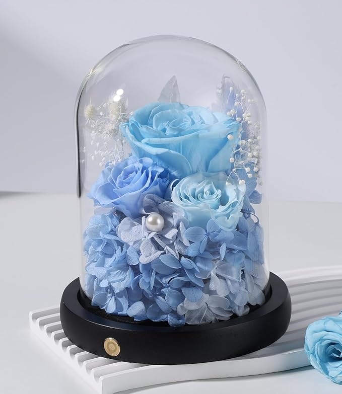 FIACO Preserved Flowers Rose Gifts for Women, Birthday Gifts Eternal Rose in Glass Dome Long-Lasting Real Forever Flowers Gifts for Mom Grandma Wife Girlfriend