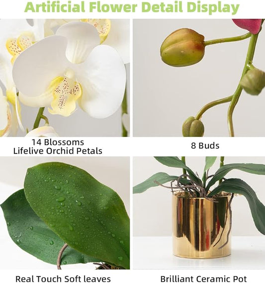 Artificial Orchid Flowers White Faux Orchids with Ceramic Vase Vivid Fake Phalaenopsis Flower Arrangement Gorgeous Artificial Plants for Office Desk Wedding Party Exhibition Center & Home Table Decor