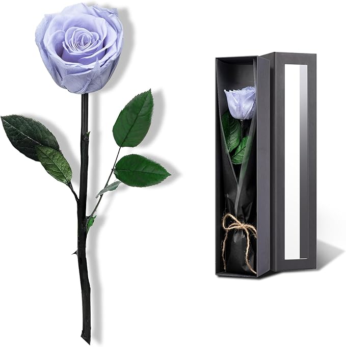 Blue Flowers for Delivery Prime, Preserved Blue Roses Flower Gifts for Women, Real Roses Single Rose Gifts for Her, Mom Birthday Gifts from Daughter, Solid Lilac Roses