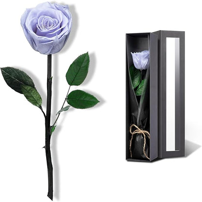 Blue Flowers for Delivery Prime, Preserved Blue Roses Flower Gifts for Women, Real Roses Single Rose Gifts for Her, Mom Birthday Gifts from Daughter, Solid Lilac Roses