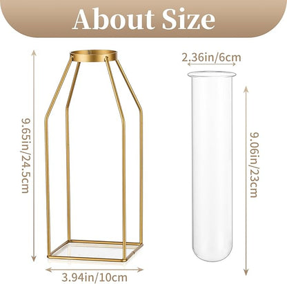 Sziqiqi Glass Propagation Station with Metal Frame - Gold Modern Geometric Square Vase for Plants, Room Decor, Office, Wedding