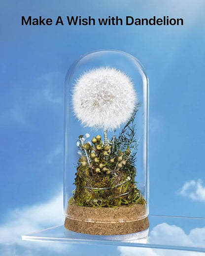 JoyFlower Preserved Dandelion in Glass Dome, Real Dandelion Eternal Flowers Gifts for Women, Preserved Flower Friendship Gifts for Girlfriend Best Friend Sisters Daughter Birthday Graduation Gift