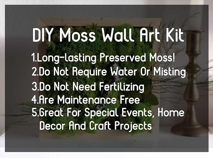 Preserved Sheet Moss Natural Green Decorative Real Natural Green DIY Kit Gardenning Art Wall Decor Florist Decor Easter Table Decor Wedding(4 sq.ft.) (Green-A,Green-B,Green-C)