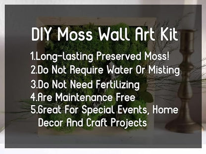 Preserved Sheet Moss Natural Green Decorative Real Natural Green DIY Kit Gardenning Art Wall Decor Florist Decor Easter Table Decor Wedding(4 sq.ft.) (Green-A,Green-B,Green-C)