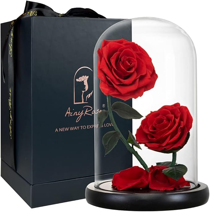 Gifts for Women Forever Preserved Red Rose,Birthday Valentines Day Gift with Red Eternal Flower in Glass Dome,Gifts for Valentine's Day Mothers Day Christmas Anniversary Birthday (#red)