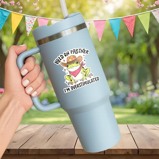 HANDICHI Design 5-Pack 3 Inch Hold On Partner I’m Overstimulated Stickers – Funny Meme Vinyl Decals for Water Bottles, Laptops, Journals, Scrapbooks – Sarcastic Gift for Frog Lovers