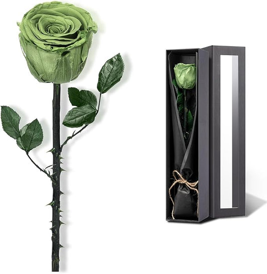 Green Flowers for Delivery Prime, Preserved Green Roses Flower Gifts for Women, Real Roses Single Rose Gifts for Her, Mom Birthday Gifts from Daughter, Valentines Flowers