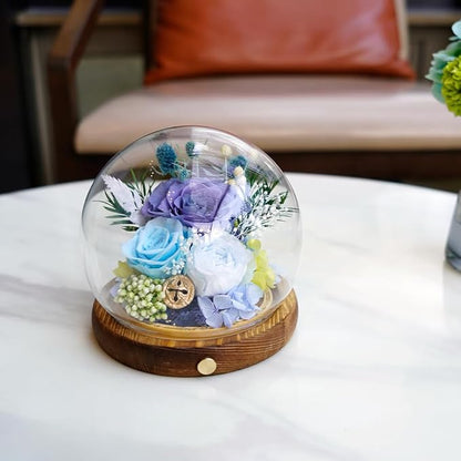 Preserved Real Rose Flowers in Glass Dome with LED Lights,Real Rose Flowers Unique Floral Gift for Girlfriend Mom Wife Girlfriend on Christmas Birthday Anniversary (Starry Sky Blue)
