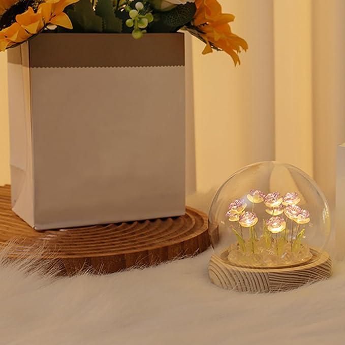 Rose in A Glass Dome Night Light - Valentines Day Gifts for Her, Birthday Gifts for Women, Battery-Powered