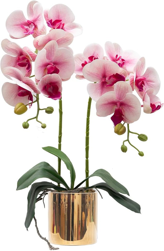 CXGS Artificial Orchid Flowers Light Pink Faux Orchids with Ceramic Vase Vivid Fake Phalaenopsis Flower Arrangement Gorgeous Artificial Plants for Wedding Party Exhibition Center Home Decor