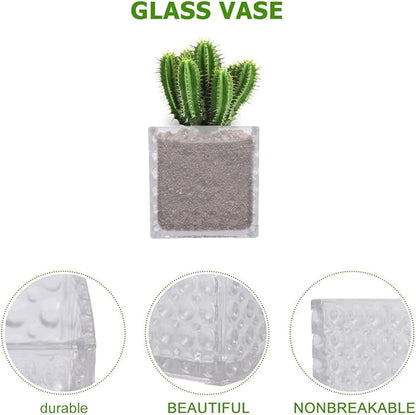Angoily Transparent Square Glass Flowerpot Cube Shape Hydroponic Vase for Home Office Decoration Elegant Small Planter Pot Pure Material Easy to Clean