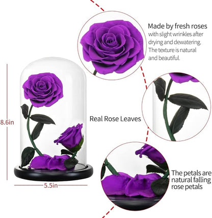 Forever Preserved Rose Gifts for Women Flower Rose in A Glass Dome Anniversary for Mom Her Valentines,Anniversary (Purple)