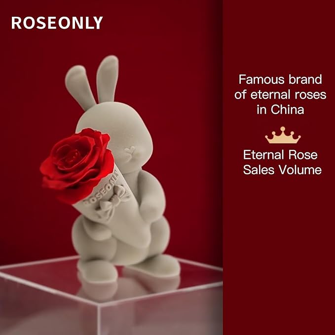 roseonly. Preserved Rose with Sweet Bunny, Eternal Flowers Gifts for Women Girlfriend Wife Mothers Real Roses for Valentine's Day Christmas Birthday Mother's Day Anniversary (Standard)