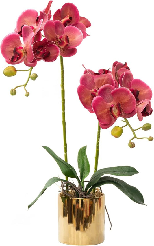 Artificial Orchid Flowers Fuchsia Faux Orchids with Ceramic Vase Vivid Fake Phalaenopsis Flower Arrangement Gorgeous Artificial Plants for Office Desk Wedding Party Exhibition Center&Home Table Decor