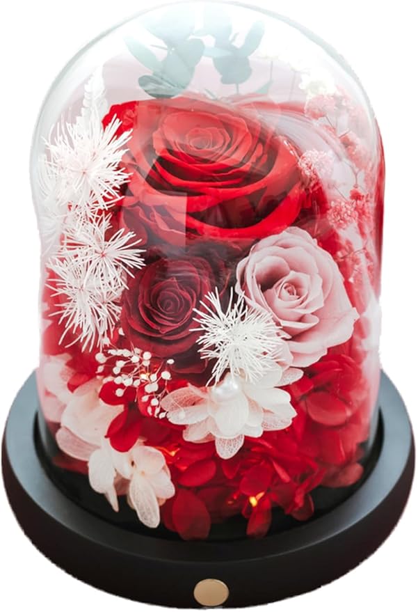 FIACO Preserved Flowers Christmas Rose Gifts for Women, Birthday Gifts Eternal Rose in Glass Dome Long-Lasting Real Forever Flowers Gifts for Mom Grandma Wife Girlfriend Red