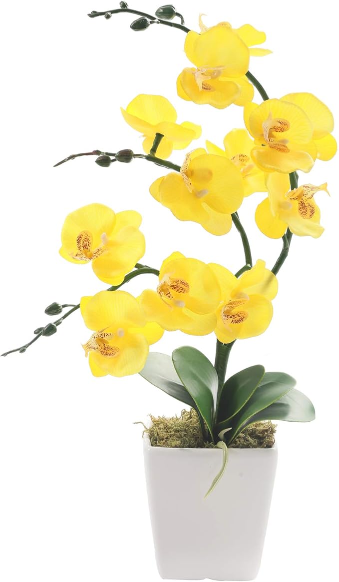 15" Tall Artificial Silk Phalaenopsis Orchid Flower Plant Pot Arrangements (Yellow)