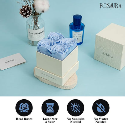 Rosaura 4-Piece Eternal Preserved Roses & Flowers Gift Box - Forever Lasting Real Roses, Preserved Flowers for Valentine's Day (Sky Blue)