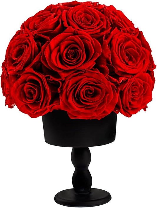 Eternal Rose Dome with Vintage Pedestal, 23 Forever Preserved Roses Arrangement for Home Decoration, Ideal Gift for Christmas,Valentine's Day, Mother's Day, Birthdays-Red