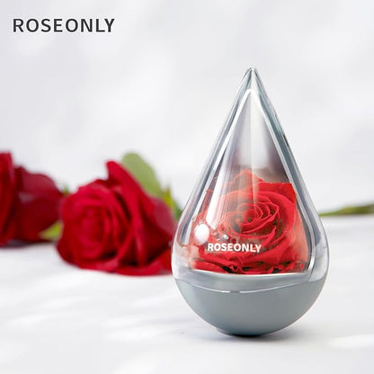 Preserved Rose with Water-Drop Shape, Eternal Flowers Gifts for Women Girlfriend Wife Mothers Real Roses Presents for Her Valentine's Day Christmas Birthday Mother's Day Anniversary (Purple)
