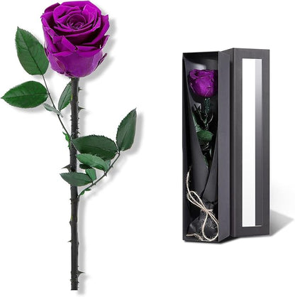 Purple Flowers for Delivery Prime, Preserved Purple Roses Flower Gifts for Women, Real Roses Single Rose Gifts for Her, Mom Birthday Gifts from Daughter, Valentines Flowers