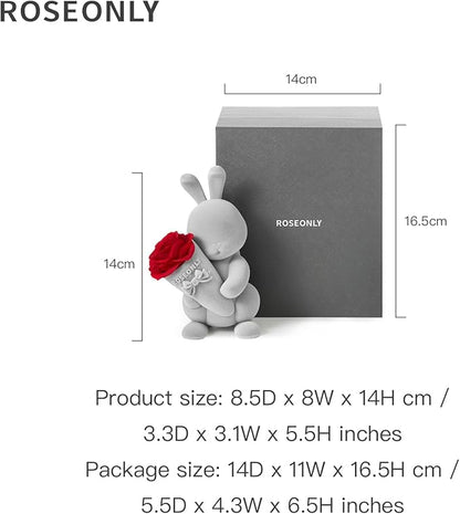roseonly. Preserved Rose with Sweet Bunny, Eternal Flowers Gifts for Women Girlfriend Wife Mothers Real Roses for Valentine's Day Christmas Birthday Mother's Day Anniversary (Mini)