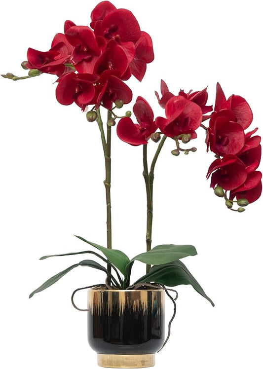 CXGS Orchids Artificial Flowers Real Touch Fake Flowers in Ceramic Pot 20" Red Faux Orchid Plant Lifelike Silk Phalaenopsis for Centerpiece Hotel Home Indoor Decor