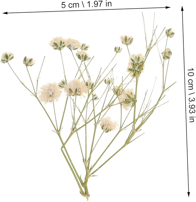 Natural Eternal Dried Flower Bouquet DIY Kit Stems S Breath Floral Adornments for Home Decor Vase Filling Rustic Wedding Decorations