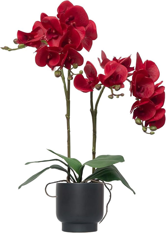 CXGS Orchids Artificial Flowers Real Touch Fake Flowers in Ceramic Pot 20" Red Faux Orchid Plant Lifelike Silk Phalaenopsis for Centerpiece Hotel Home Indoor Decor