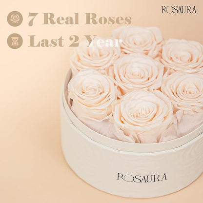 Rosaura Round Preserved Roses Gift Box - Real Forever Flowers for Birthday, Valentine's & Mother's Day (Champagne, 7 Roses)
