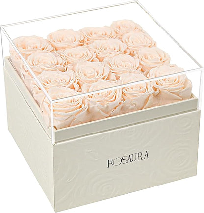 Rosaura Square Preserved Roses Gift Box - Real Forever Flowers in Clear Acrylic Lid, Valentine's for Women (Champagne, 16 Roses)