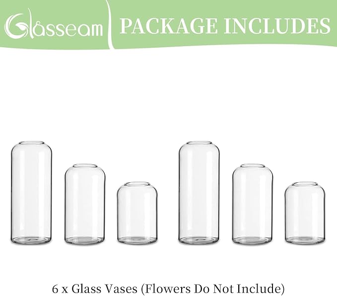Glasseam Clear Glass Bud Vase, Set of 6 Modern Cylinder for Centerpieces, Blown Craft Aesthetic Decorative Small Flower Vases Bulk for Flowers Rose Tulip Pampas Grass