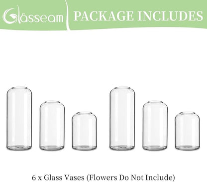 Glasseam Clear Glass Bud Vase, Set of 6 Modern Cylinder for Centerpieces, Blown Craft Aesthetic Decorative Small Flower Vases Bulk for Flowers Rose Tulip Pampas Grass