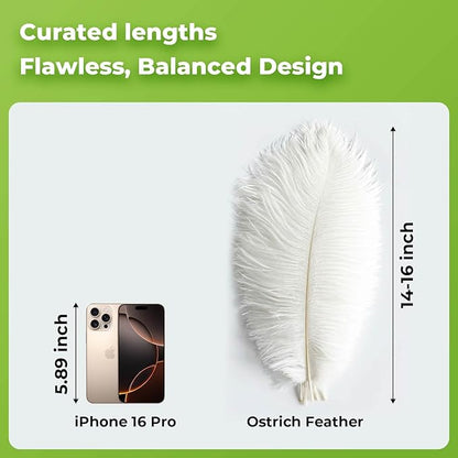 Piokio 10 pcs White Ostrich Feathers 14-16 inch(35-40 cm) Bulk for Wedding Party Centerpieces, Gatsby Decorations