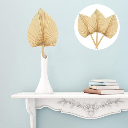 Unomor 3pcs Natural Dried Palm Leaf Decoration for Wedding Layout and Cocktail Party Adornments Premium Handmade Palm Fans for DIY Flower Arrangement Boho Wall Art and Window Display