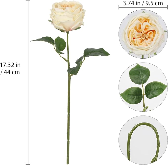 IPOPU 5PCS Real Touch Austin Roses Champagne Flowers Peony Artificial Flowers Fake Roses with Stems for Wedding Bouquet Party Home Decor(Champagne)