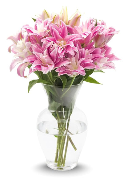 Stargazer Barn - 10 Stem Pink Rose Lilies (Includes Glass Vase) - Fresh Flowers for Delivery - Gift for Anniversary, Birthday, Congratulations, Get Well, Graduation, Sympathy