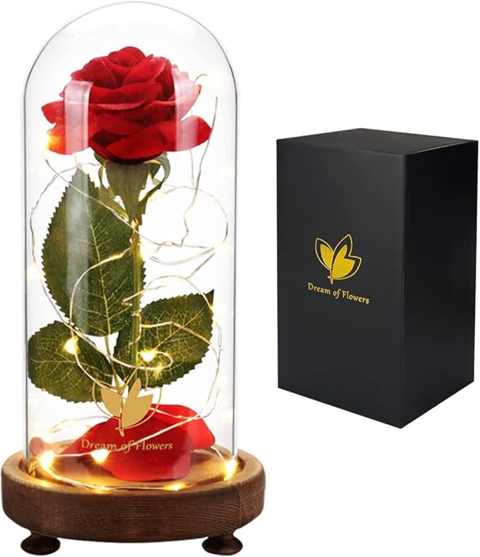 Christmas Birthday Gifts for Women,Beauty and The Beast Rose in Glass Dome,Silk Rose Forever Flowers with Lights,Mom Gift,Romantic Gifts for Her,Anniversary Flower Gifts for Women,Gifts for Girlfriend
