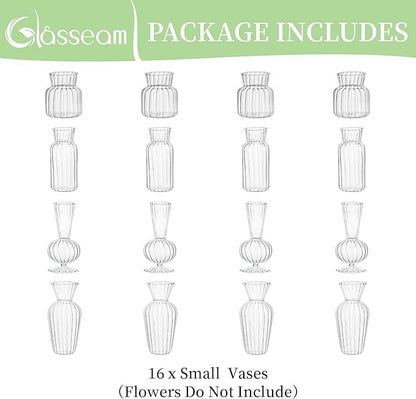 Modern Clear Glass Bud Vase Bulk Set: Glasseam 16Pcs Small Mini Flower Centerpieces Vases Handmade Decorative Cute Short Window Corner Home Decor for Wedding Reception Dining Table Single Rose
